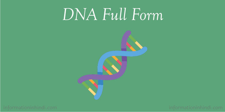 dna-full-form